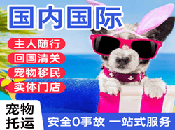 丹霞空运代理国际宠物托运 【国